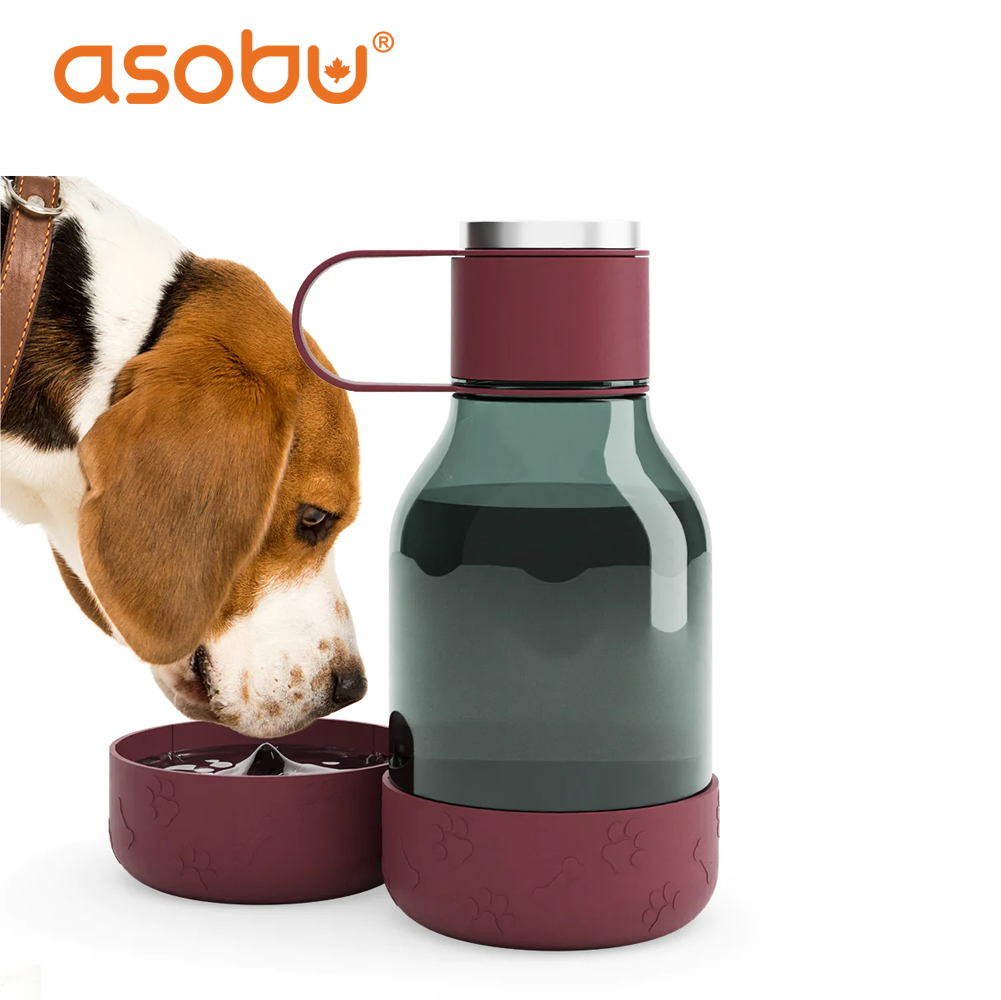 Asobu Tritan Water Bottle with Dog Bowl