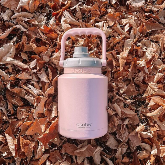 Asobu Vacuum Insulated Portable Mini Jug 1L